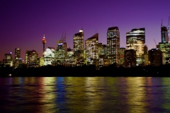 Sydney skyline at night, captured from the Sydney Royal Botanical Gardens.