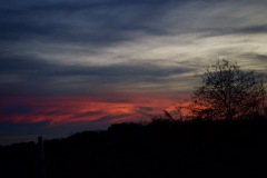 Clouds that resemble cotton candy, taken in Johns Creek, GA.